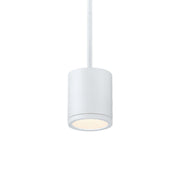 Tube Pendant Downlight Ceiling Mount - Bees Lighting