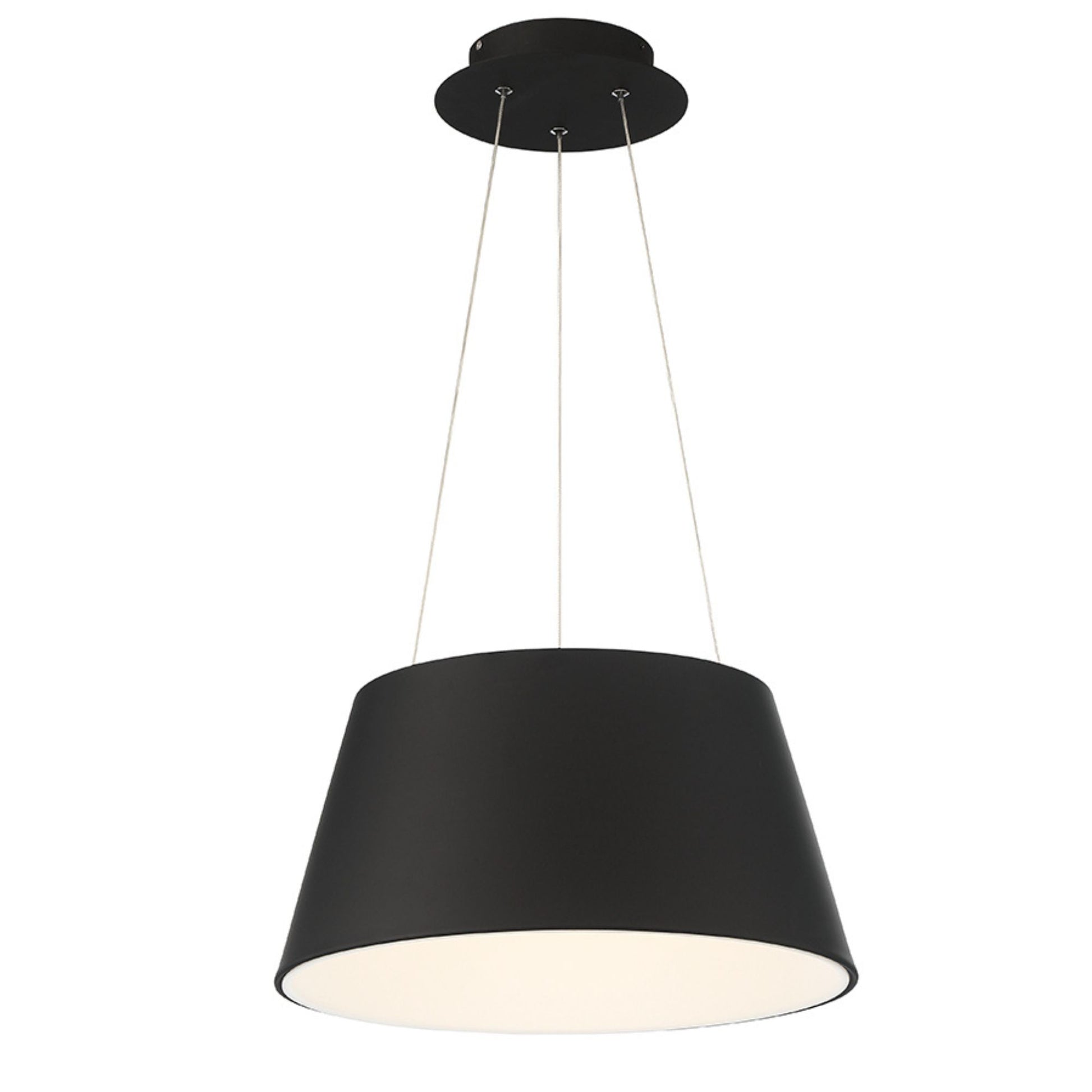 Vida 24" LED Pendant, Black Finish - Bees Lighting