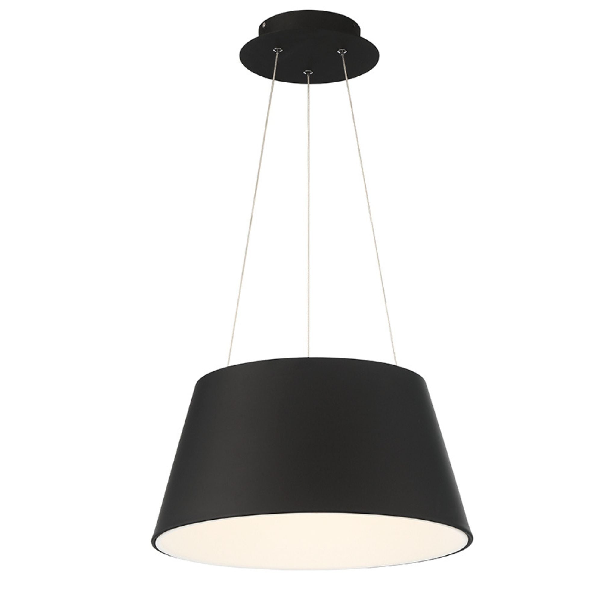 Vida 24" LED Pendant, Black Finish - Bees Lighting